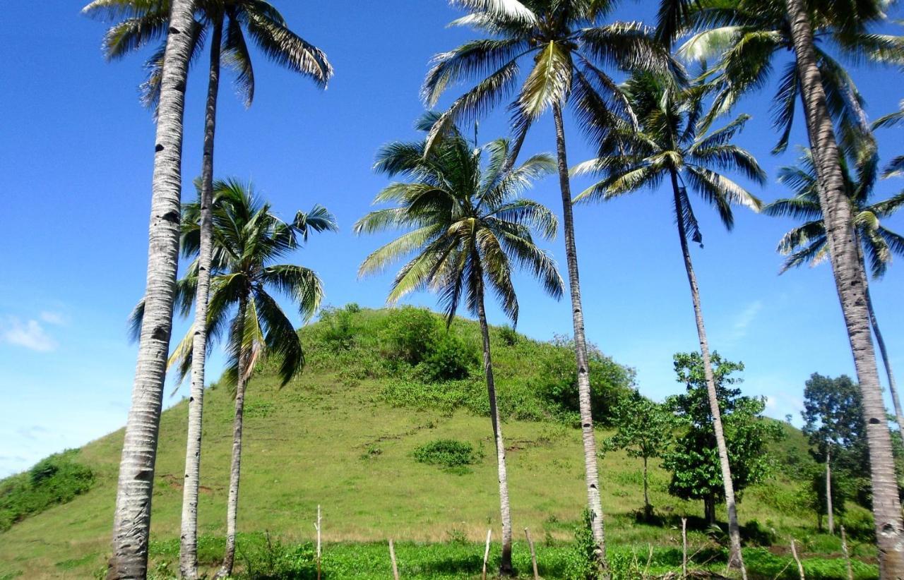 Bohol Sweet Home Bed And Breakfast Guindulman Kültér fotó